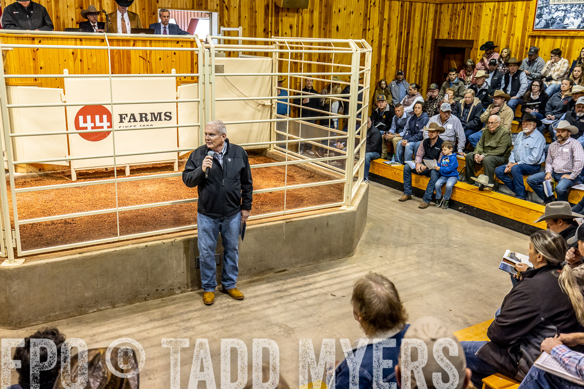 TMyers_SpringBullSale_Cameron_Feb2023-520716