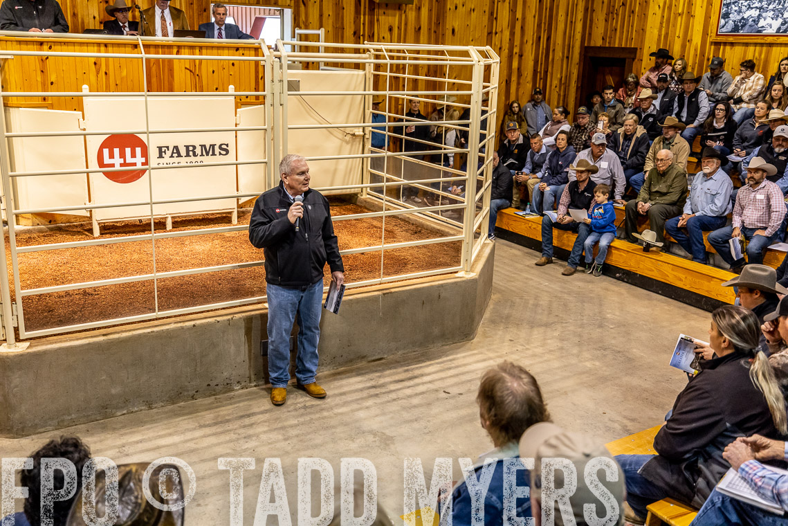 TMyers_SpringBullSale_Cameron_Feb2023-520718