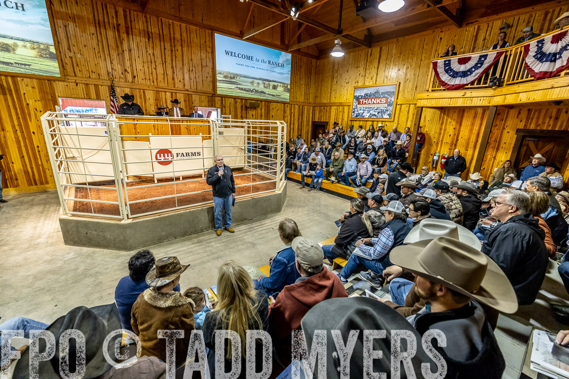 TMyers_SpringBullSale_Cameron_Feb2023-520719