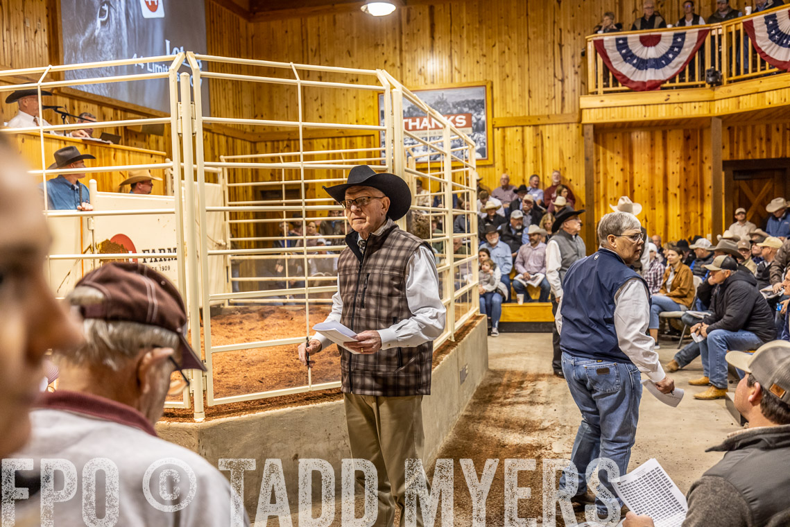 TMyers_SpringBullSale_Cameron_Feb2023-520894