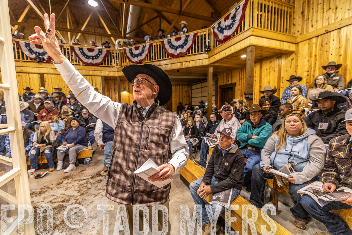 TMyers_SpringBullSale_Cameron_Feb2023-521167