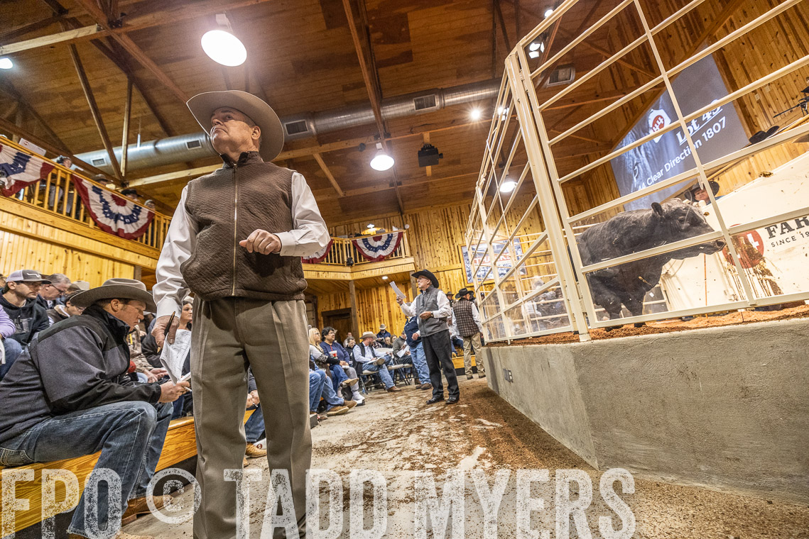 TMyers_SpringBullSale_Cameron_Feb2023-521267