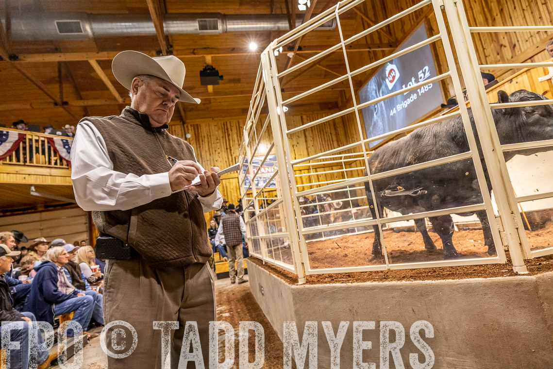 TMyers_SpringBullSale_Cameron_Feb2023-521308