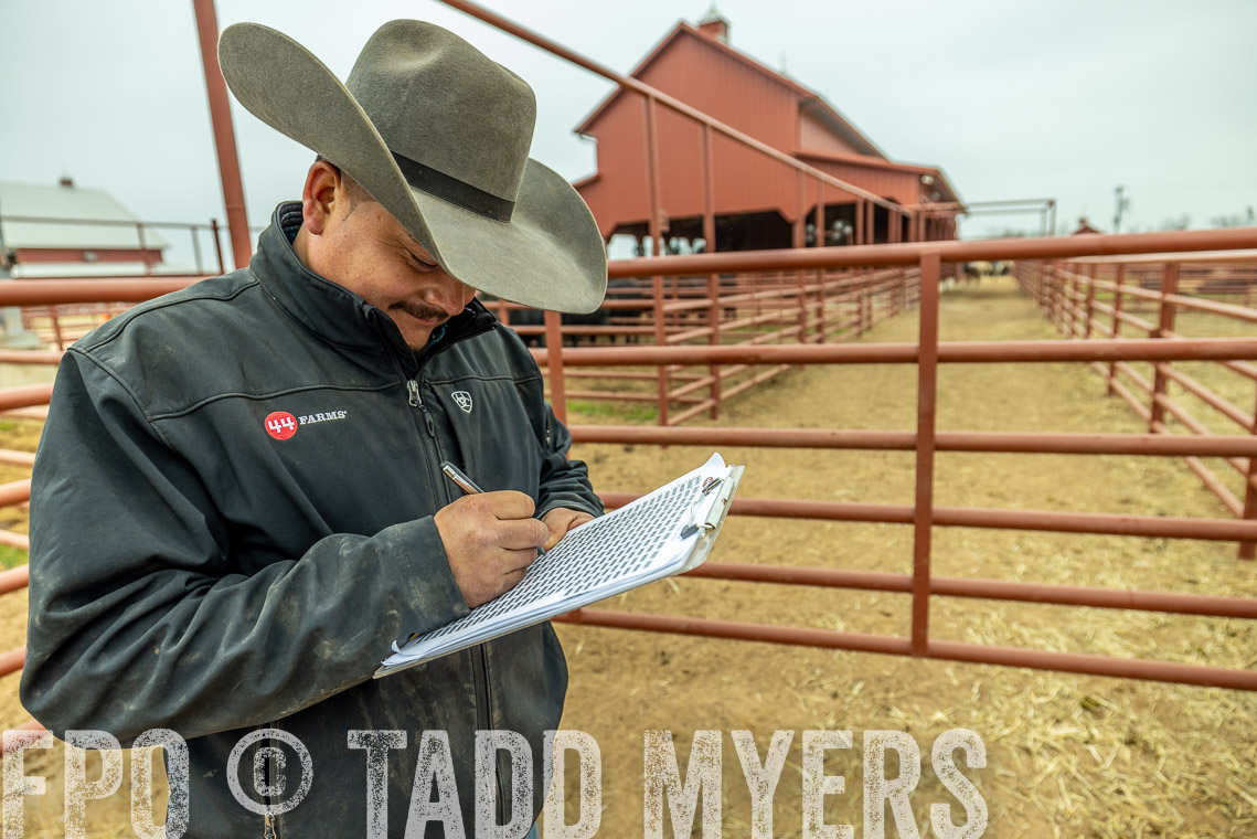 TMyers_SpringBullSale_Cameron_Feb2023-521328