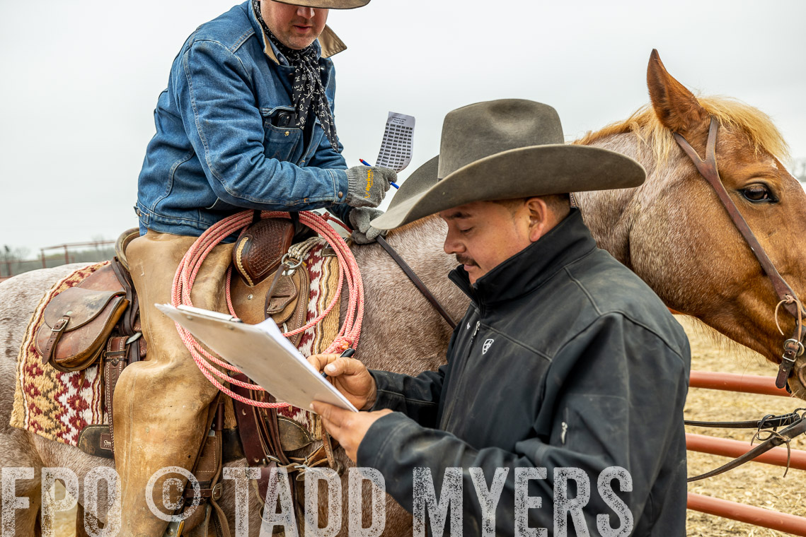 TMyers_SpringBullSale_Cameron_Feb2023-521465