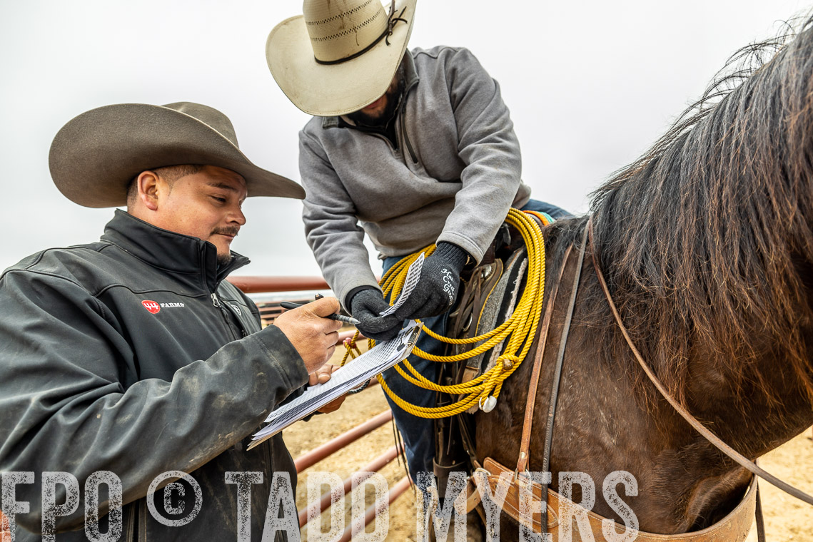 TMyers_SpringBullSale_Cameron_Feb2023-521581