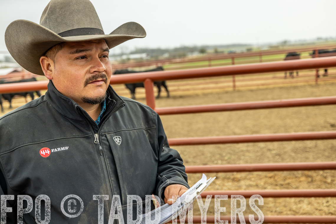TMyers_SpringBullSale_Cameron_Feb2023-521622