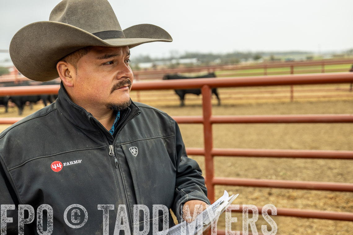 TMyers_SpringBullSale_Cameron_Feb2023-521624