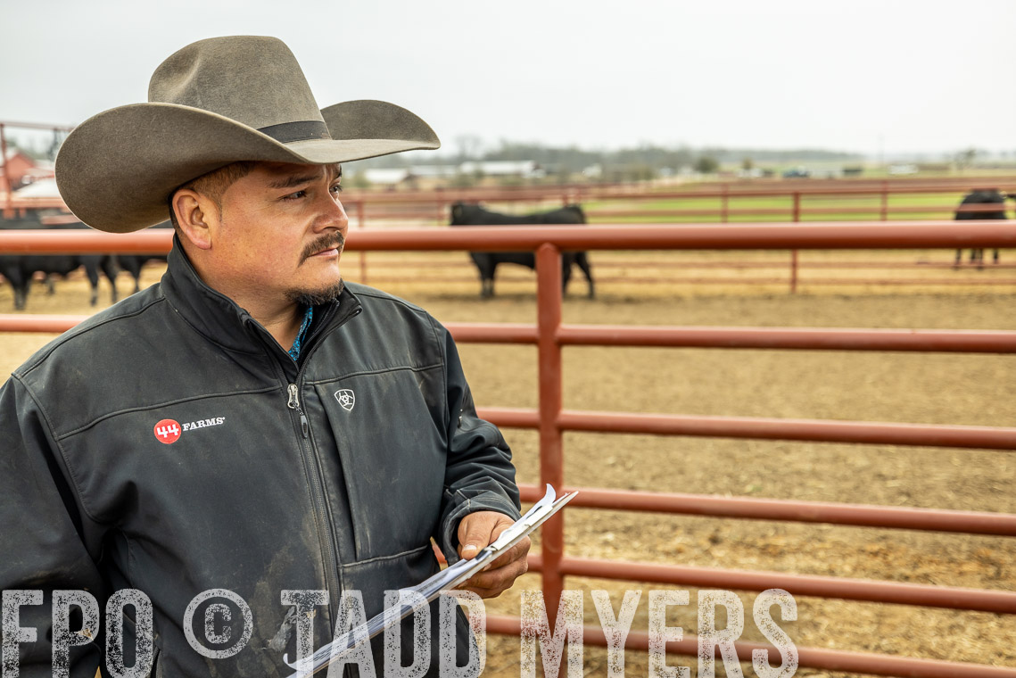TMyers_SpringBullSale_Cameron_Feb2023-521626