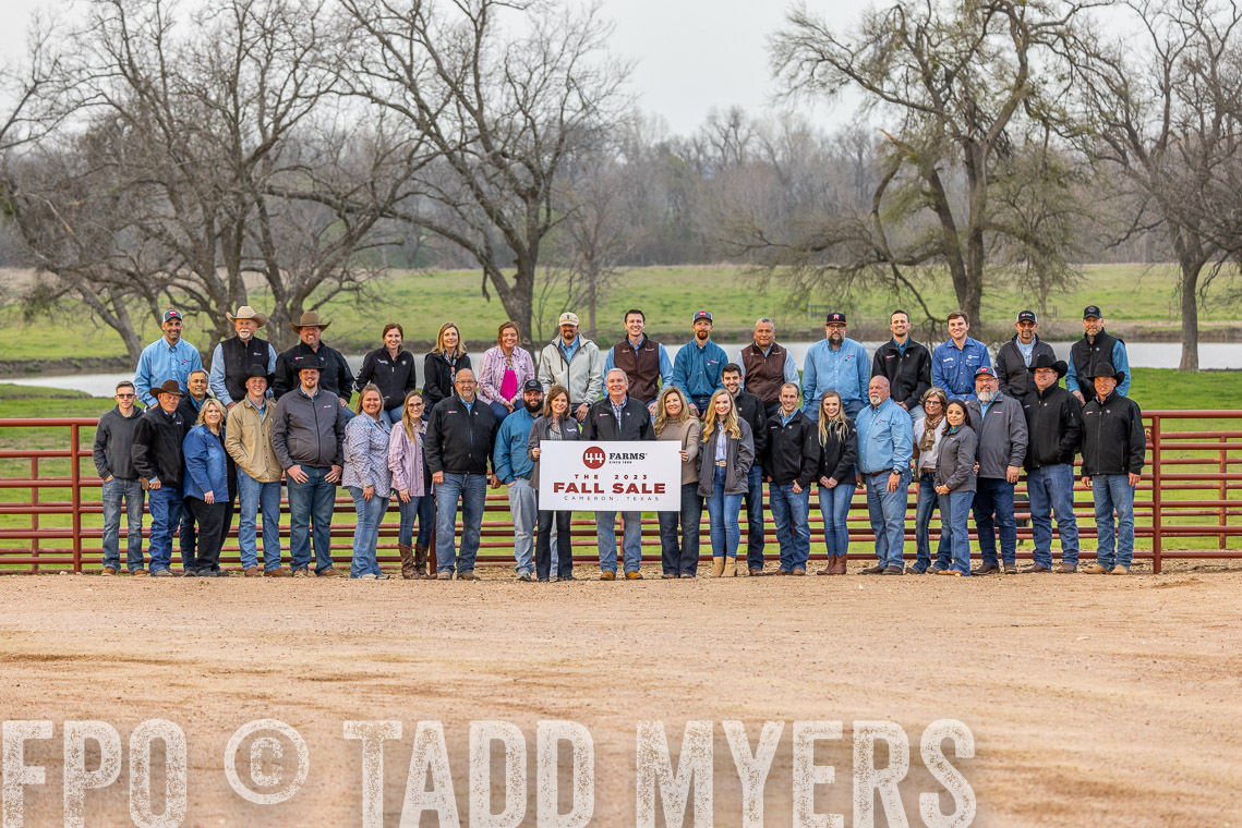 TMyers_SpringBullSale_Cameron_Feb2023-521909