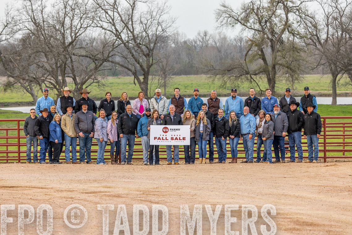 TMyers_SpringBullSale_Cameron_Feb2023-521910
