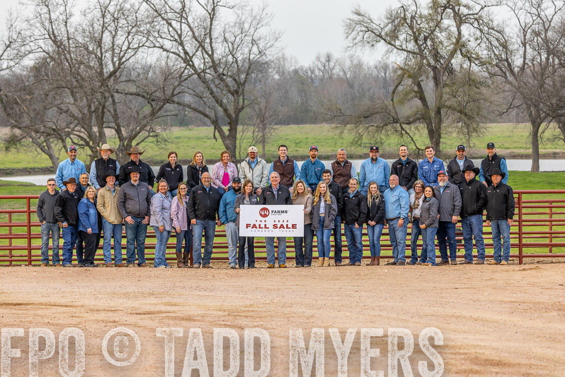 TMyers_SpringBullSale_Cameron_Feb2023-521911