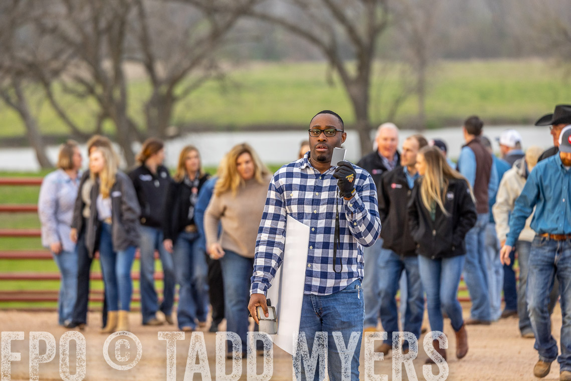 TMyers_SpringBullSale_Cameron_Feb2023-521928