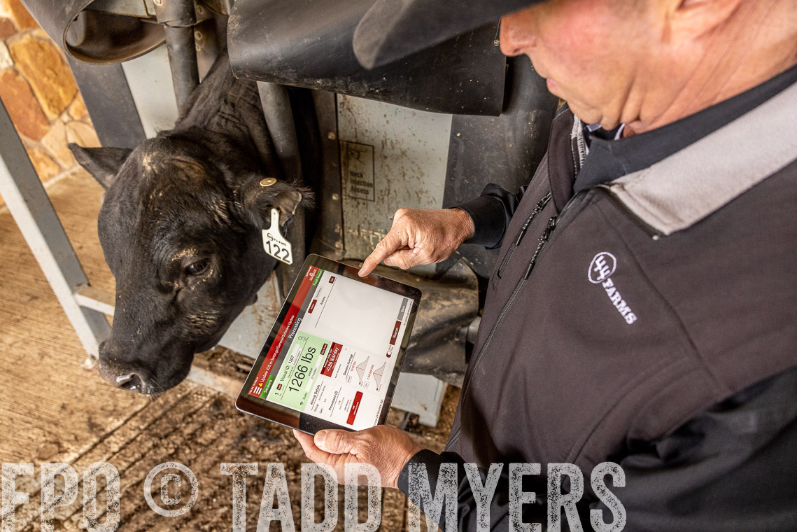 TMyers_SpringBullSale_Cameron_Feb2023-528800