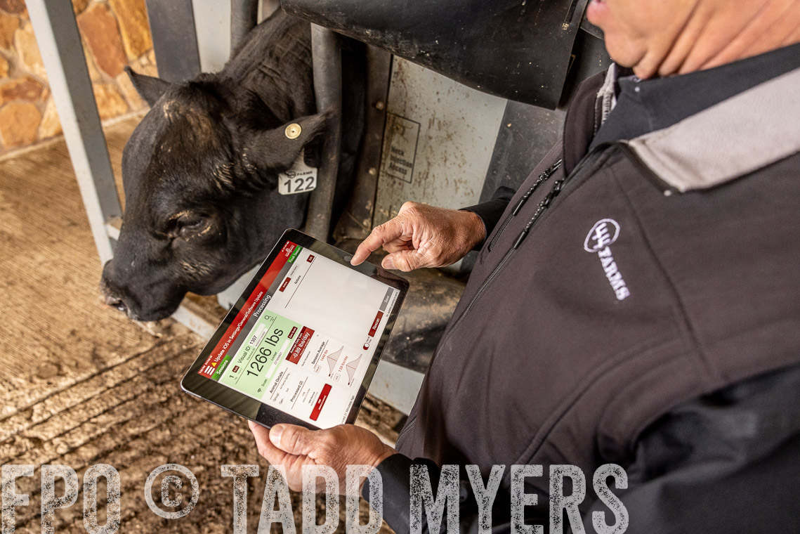 TMyers_SpringBullSale_Cameron_Feb2023-528860
