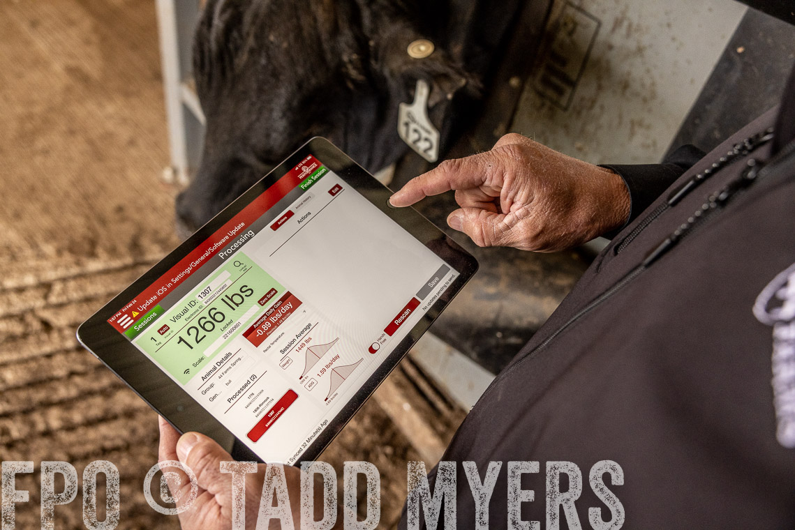 TMyers_SpringBullSale_Cameron_Feb2023-528891