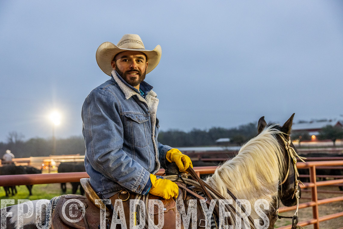 TMyers_SpringBullSale_Cameron_Feb2023-529141