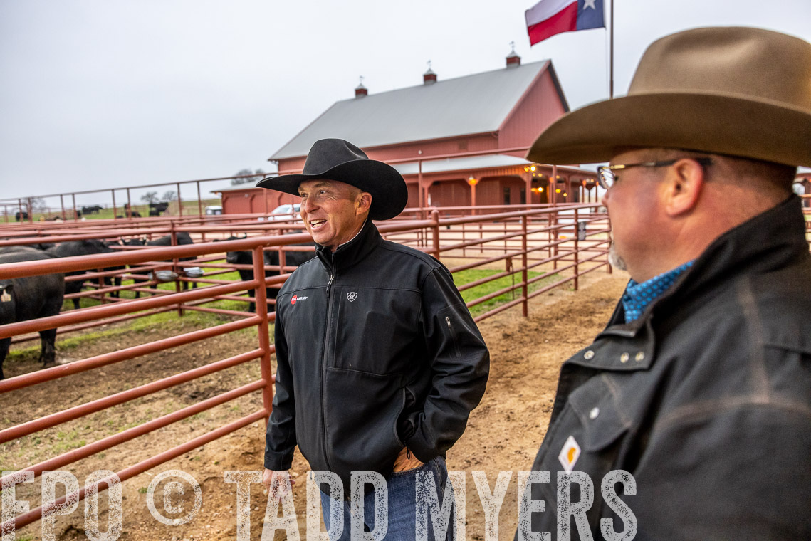 TMyers_SpringBullSale_Cameron_Feb2023-529207