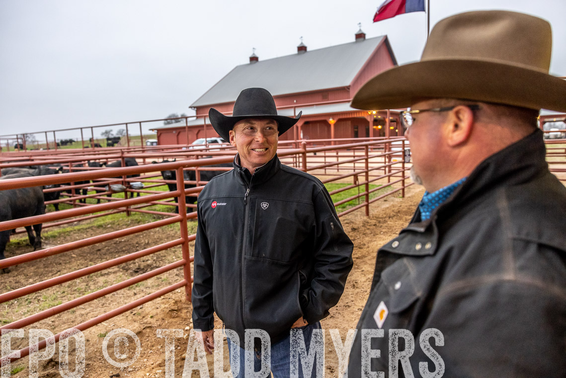 TMyers_SpringBullSale_Cameron_Feb2023-529211