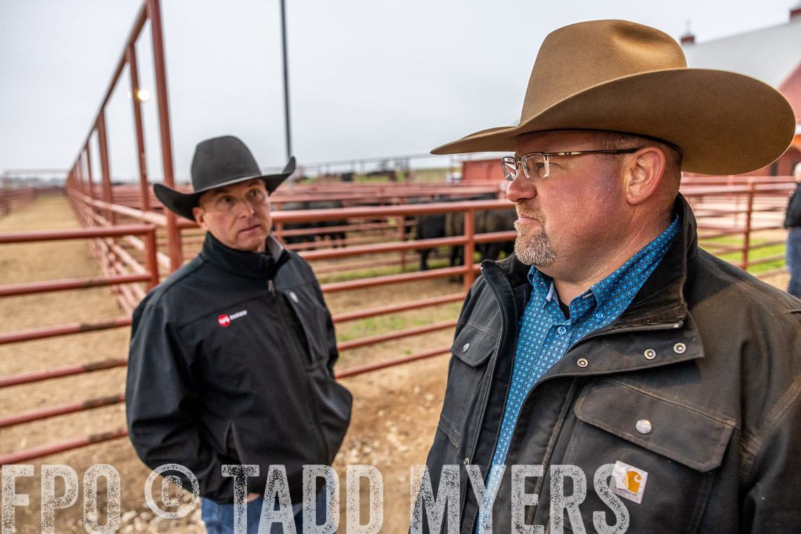 TMyers_SpringBullSale_Cameron_Feb2023-529234
