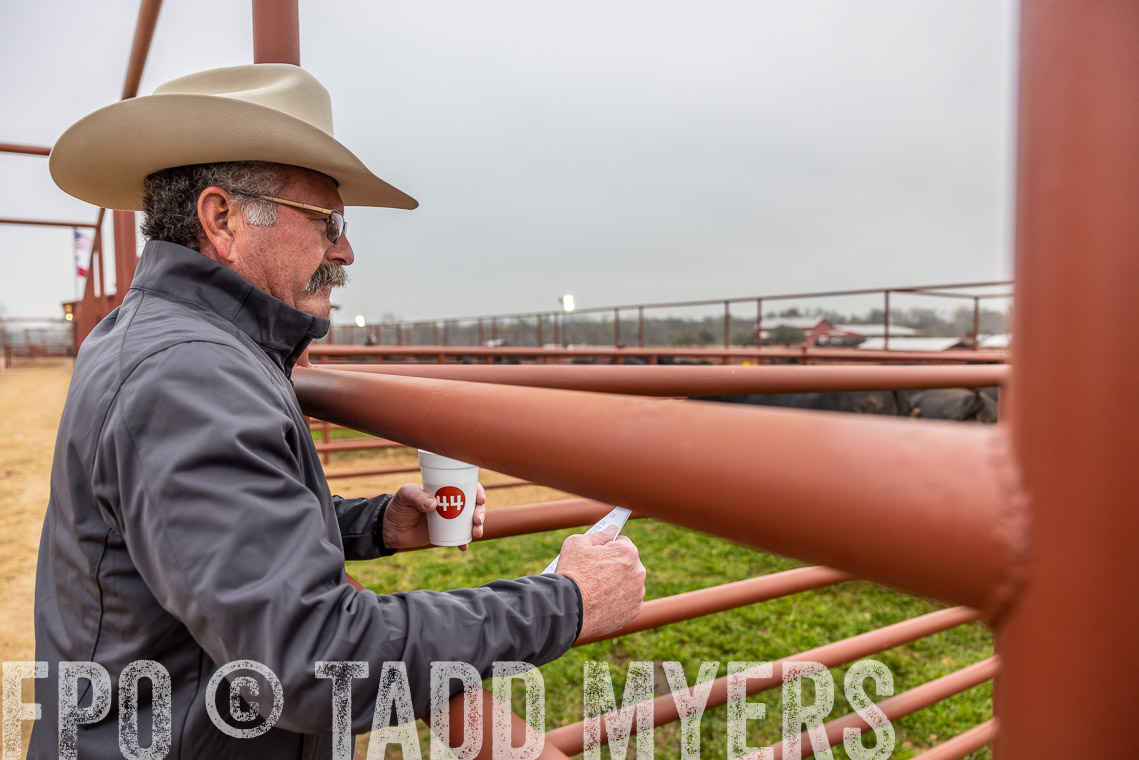 TMyers_SpringBullSale_Cameron_Feb2023-529328