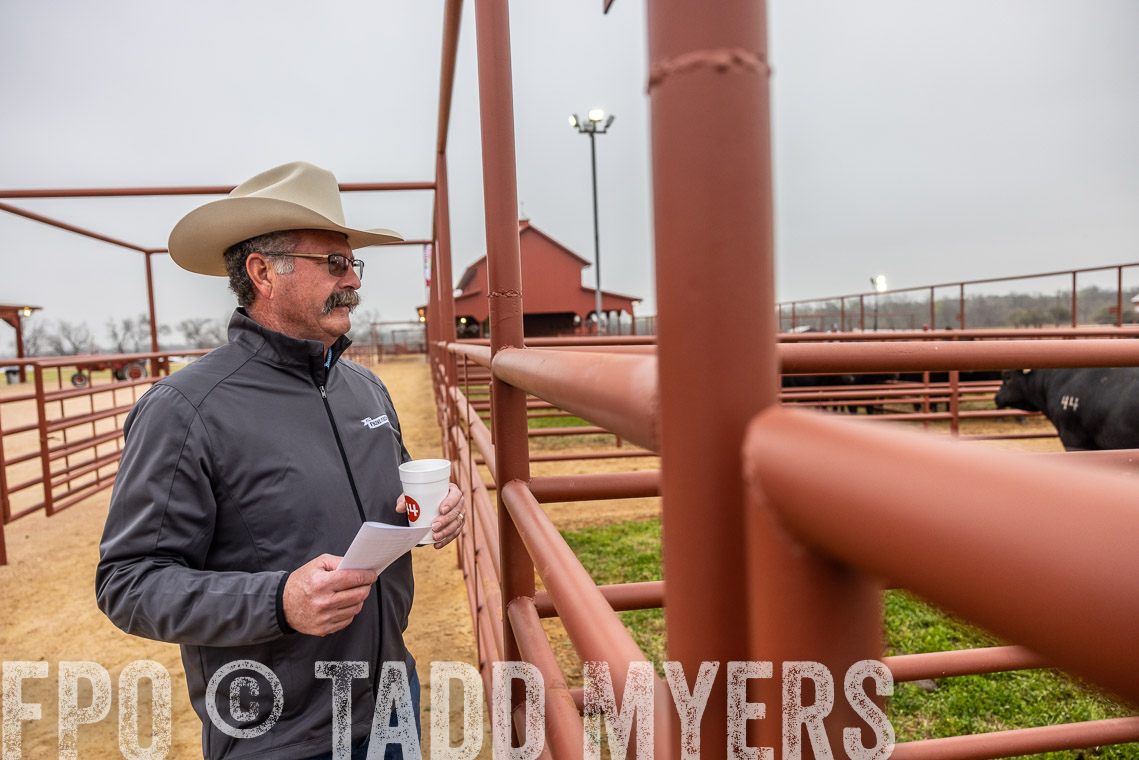 TMyers_SpringBullSale_Cameron_Feb2023-529329