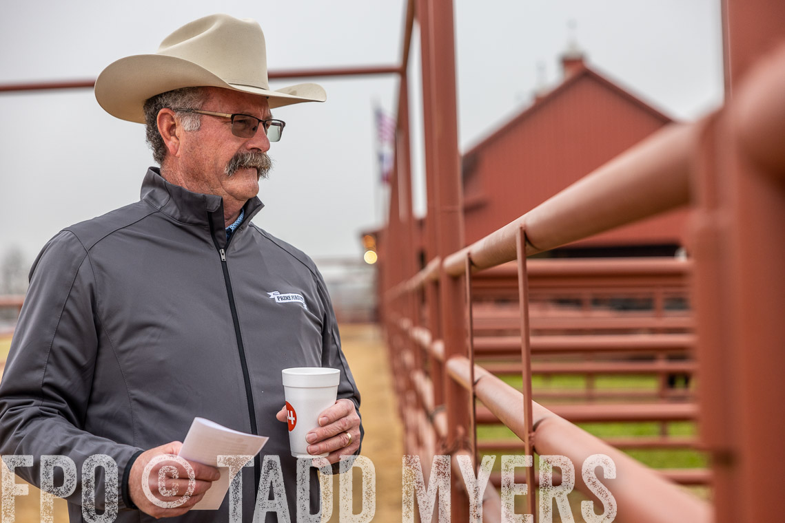 TMyers_SpringBullSale_Cameron_Feb2023-529335