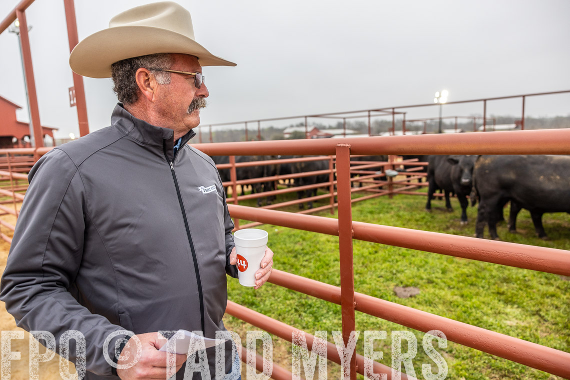 TMyers_SpringBullSale_Cameron_Feb2023-529343