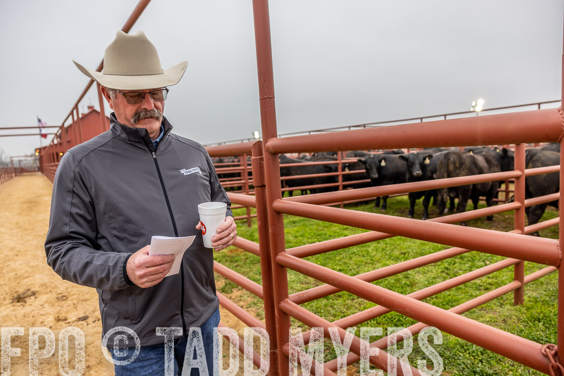 TMyers_SpringBullSale_Cameron_Feb2023-529347