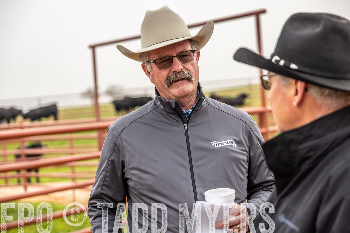 TMyers_SpringBullSale_Cameron_Feb2023-529358