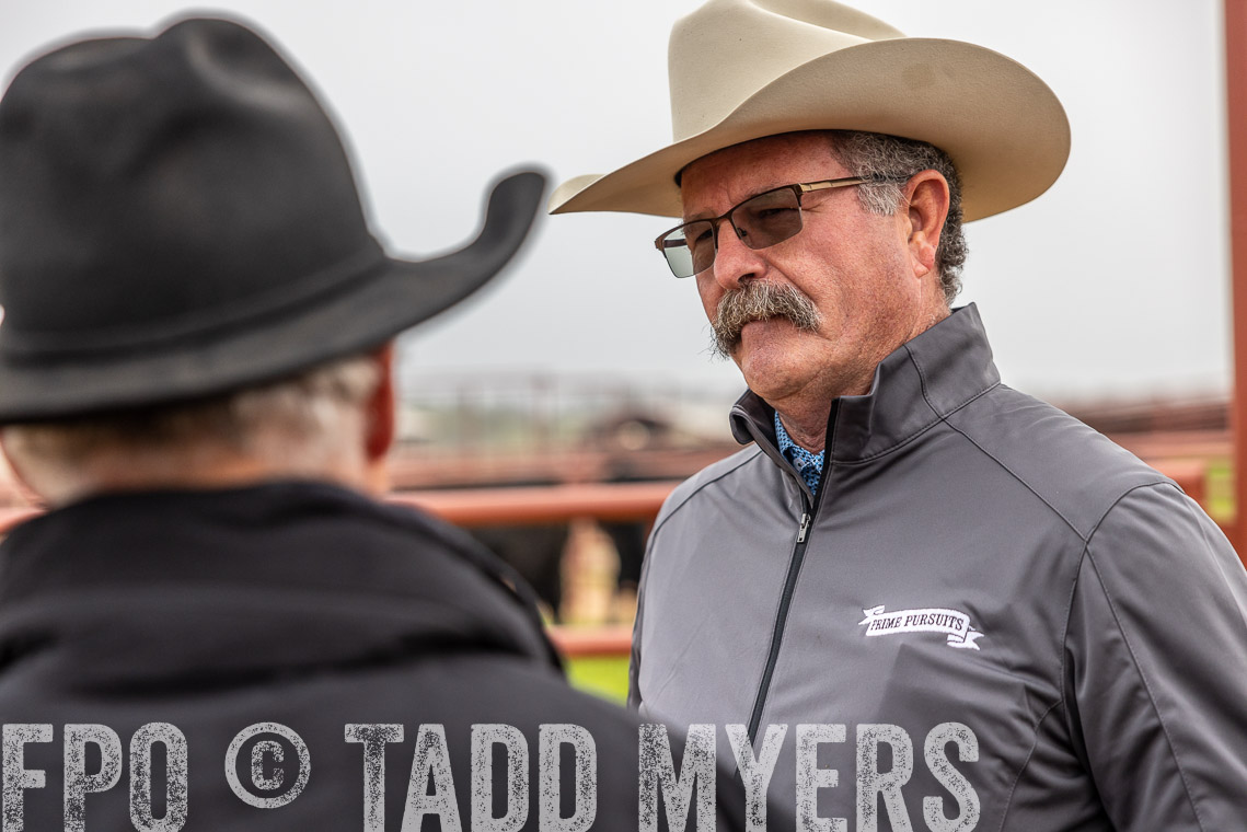 TMyers_SpringBullSale_Cameron_Feb2023-529364