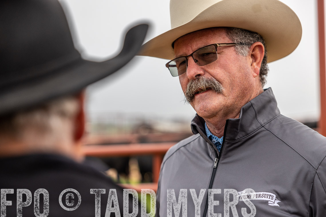 TMyers_SpringBullSale_Cameron_Feb2023-529367