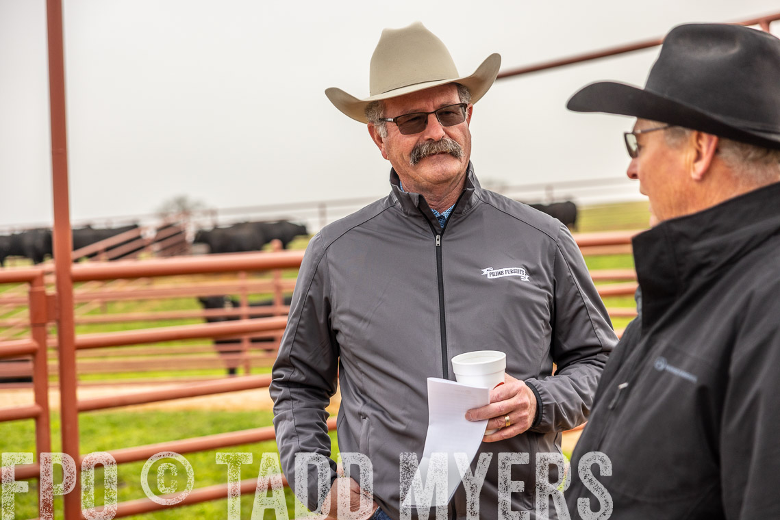 TMyers_SpringBullSale_Cameron_Feb2023-529390