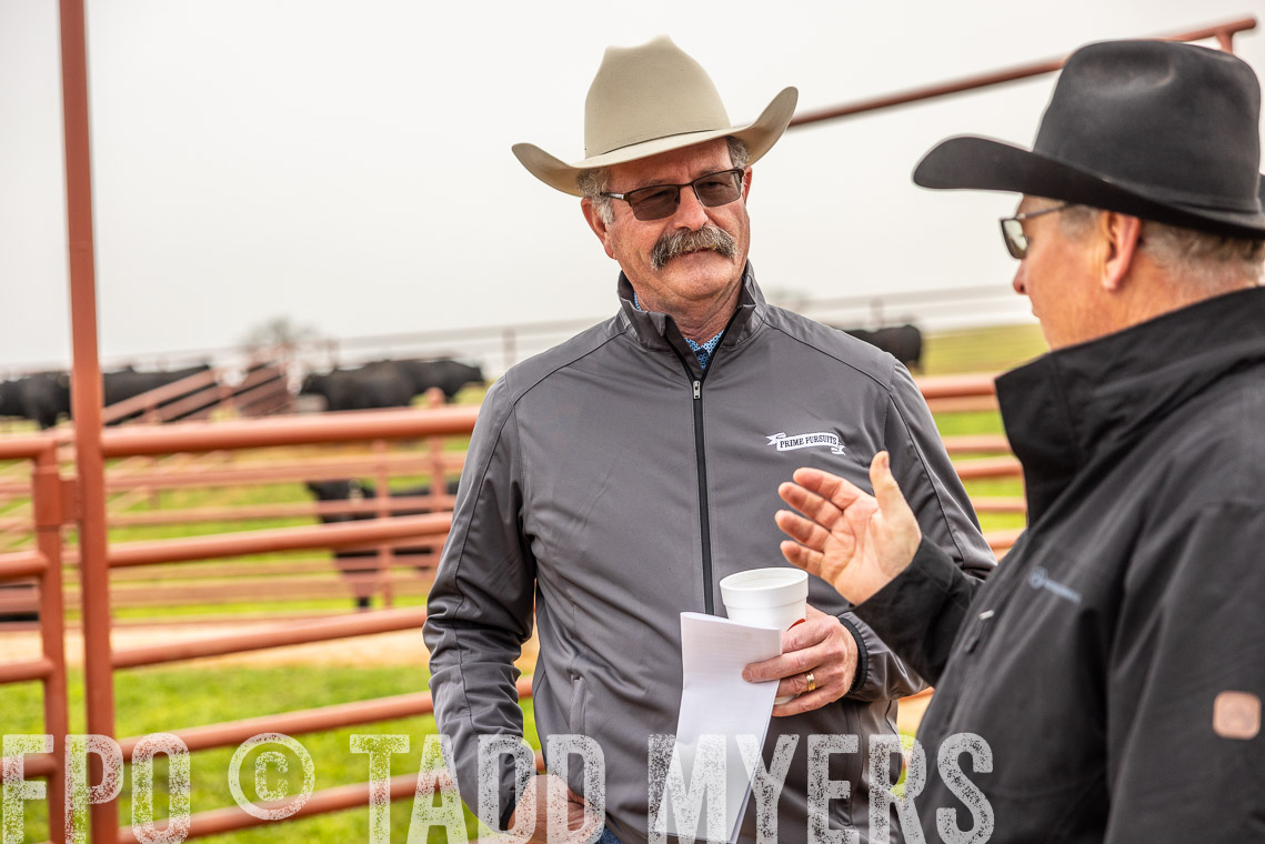TMyers_SpringBullSale_Cameron_Feb2023-529392