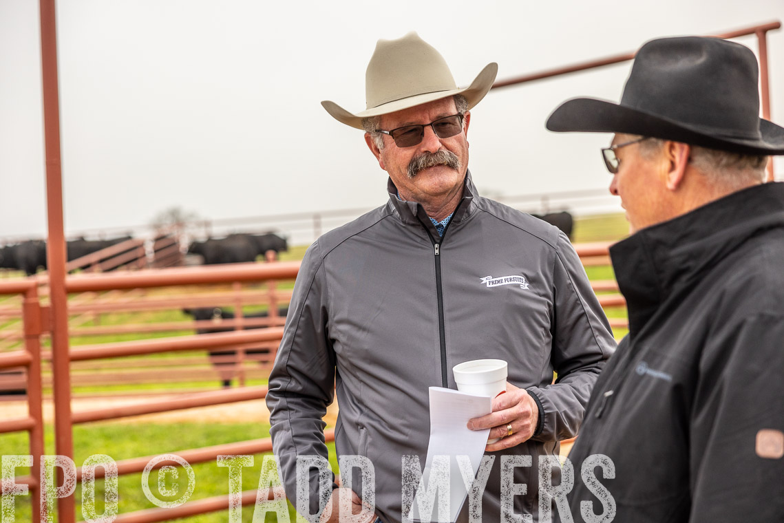 TMyers_SpringBullSale_Cameron_Feb2023-529395