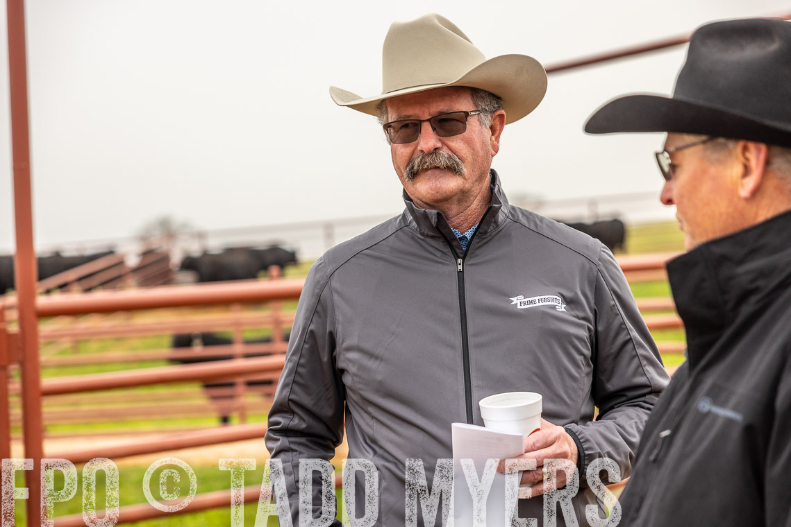TMyers_SpringBullSale_Cameron_Feb2023-529398
