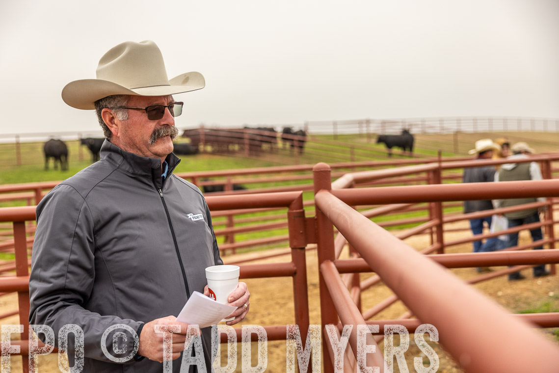 TMyers_SpringBullSale_Cameron_Feb2023-529414