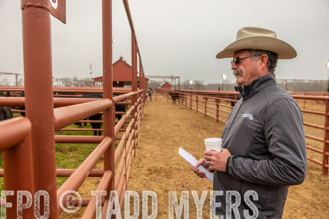 TMyers_SpringBullSale_Cameron_Feb2023-529431