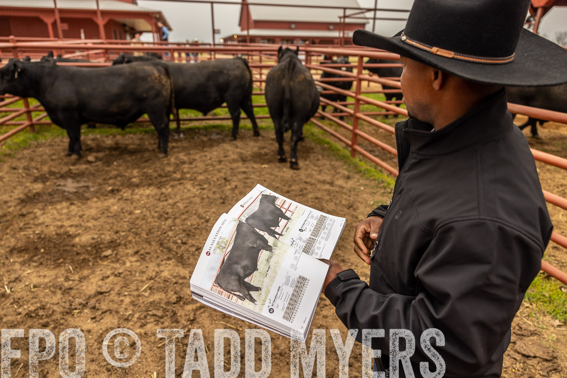 TMyers_SpringBullSale_Cameron_Feb2023-529459