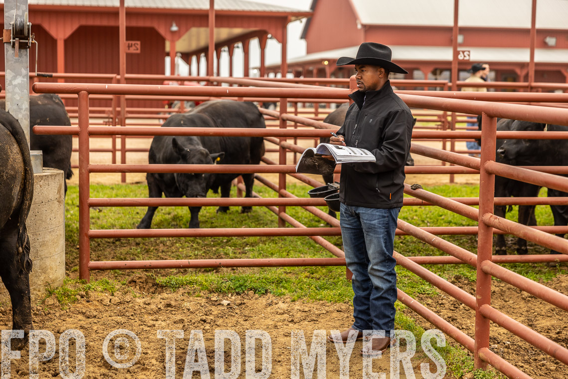 TMyers_SpringBullSale_Cameron_Feb2023-529492