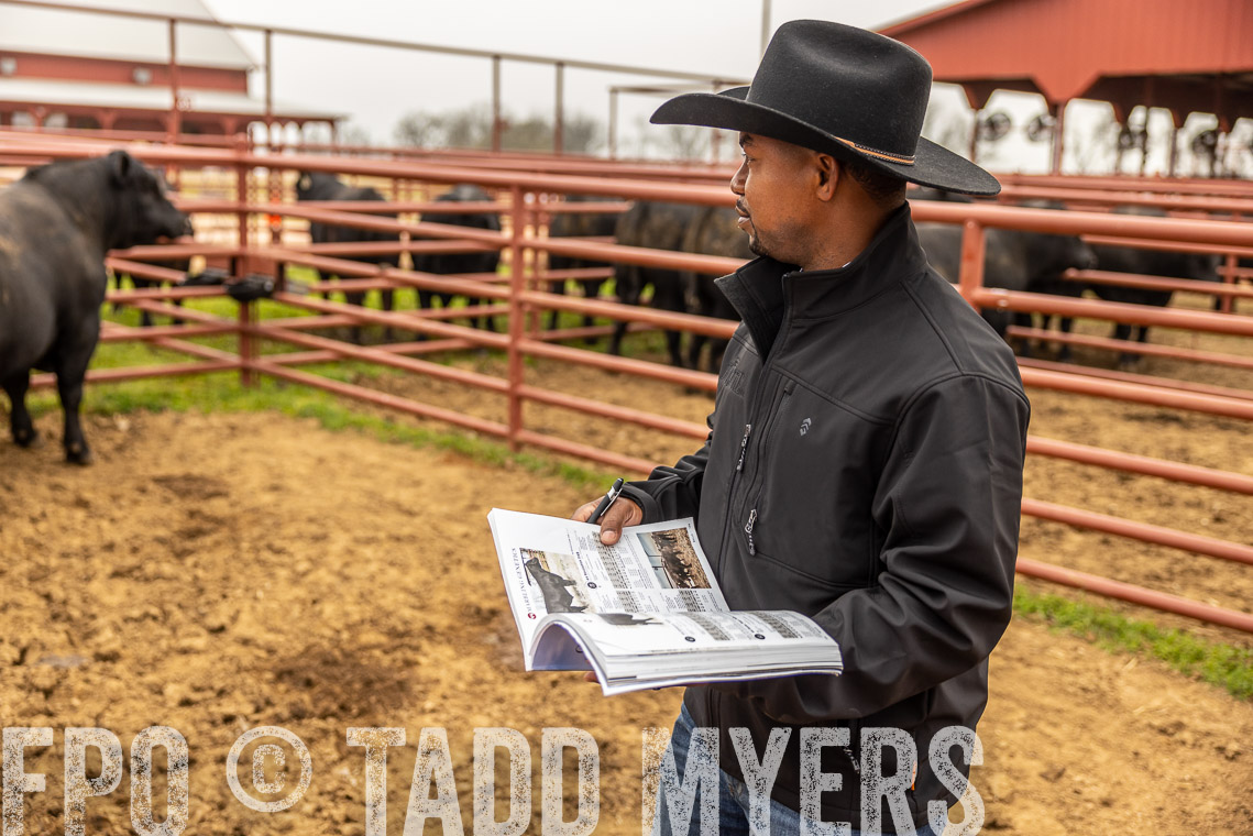 TMyers_SpringBullSale_Cameron_Feb2023-529494