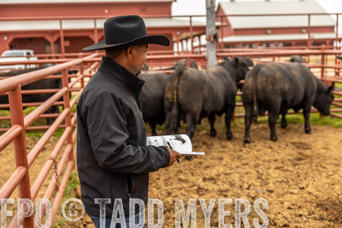 TMyers_SpringBullSale_Cameron_Feb2023-529500