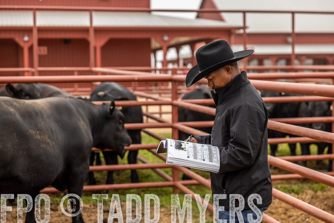 TMyers_SpringBullSale_Cameron_Feb2023-529542