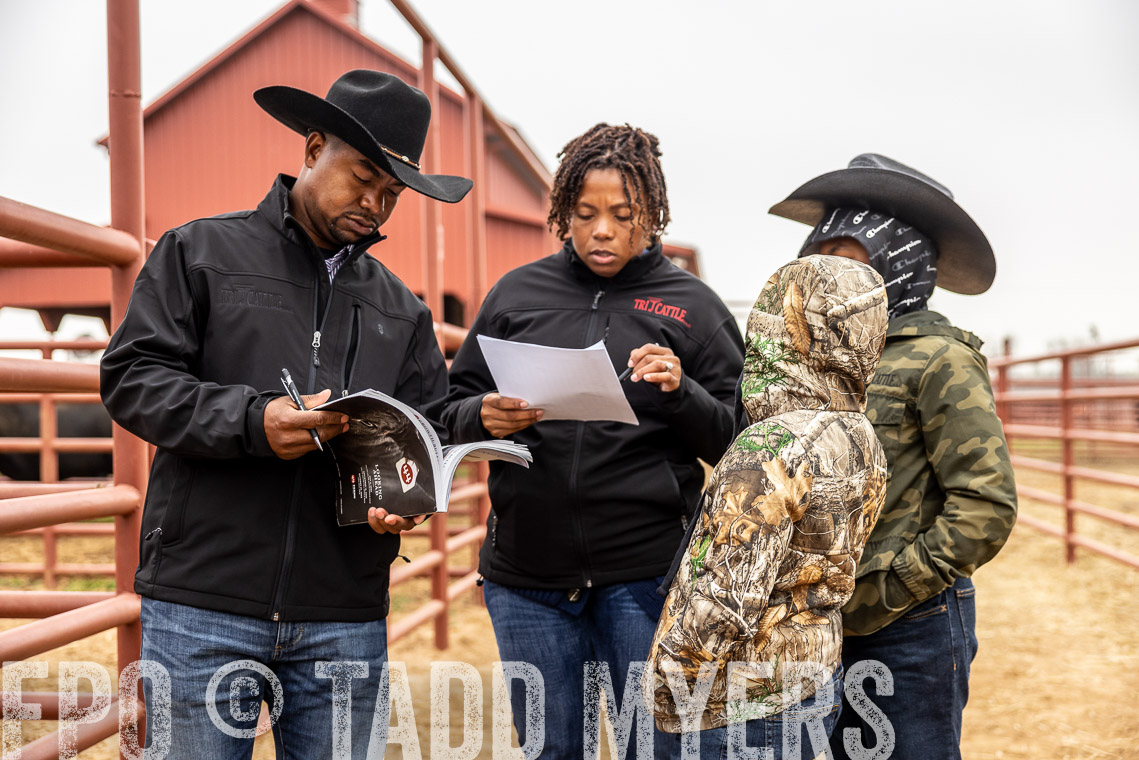 TMyers_SpringBullSale_Cameron_Feb2023-529562