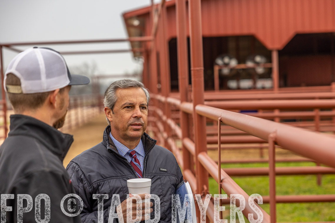 TMyers_SpringBullSale_Cameron_Feb2023-529608