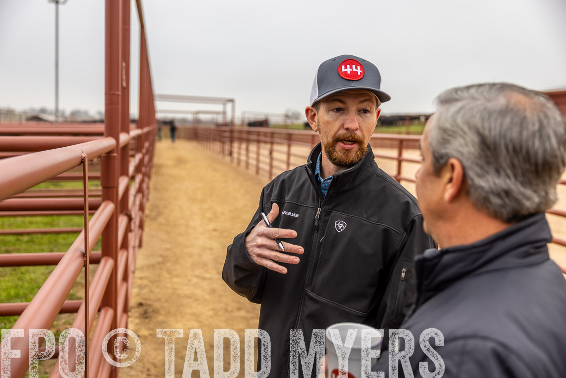 TMyers_SpringBullSale_Cameron_Feb2023-529609