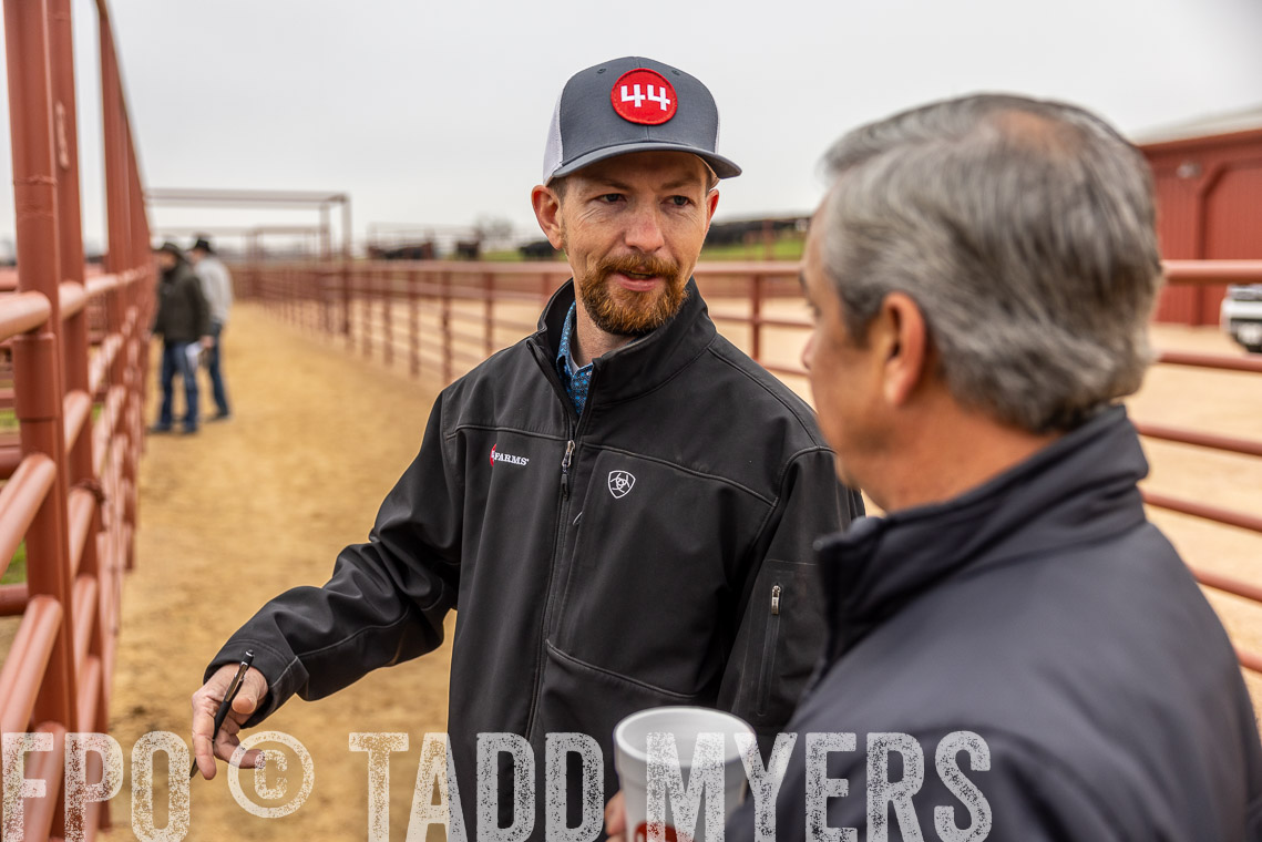 TMyers_SpringBullSale_Cameron_Feb2023-529617