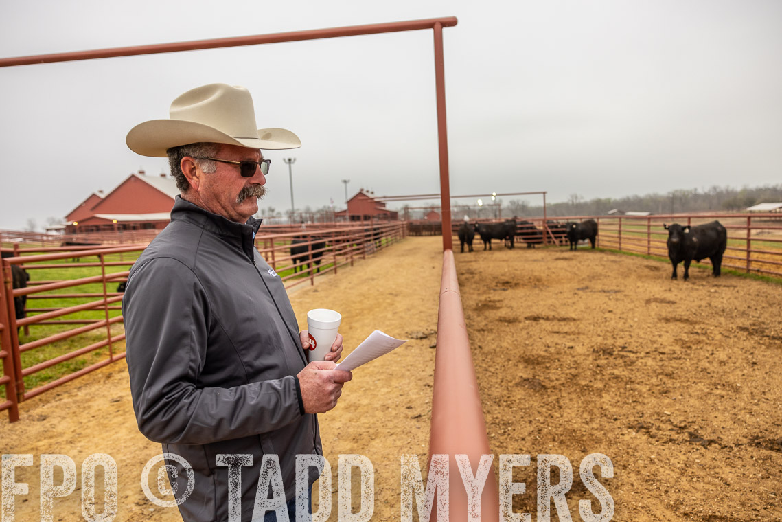 TMyers_SpringBullSale_Cameron_Feb2023-529657