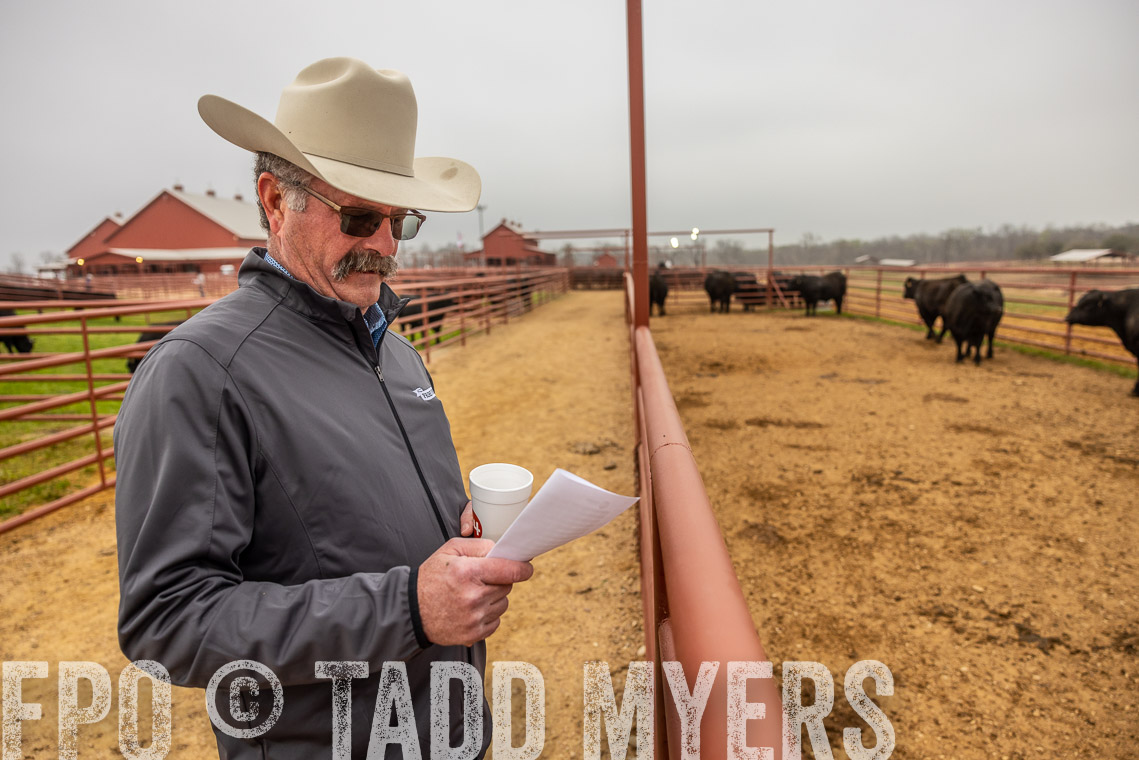 TMyers_SpringBullSale_Cameron_Feb2023-529661