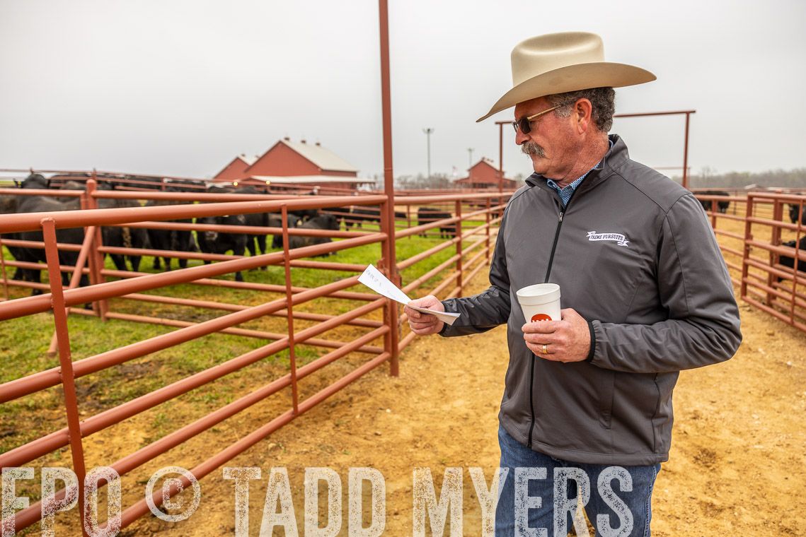 TMyers_SpringBullSale_Cameron_Feb2023-529668